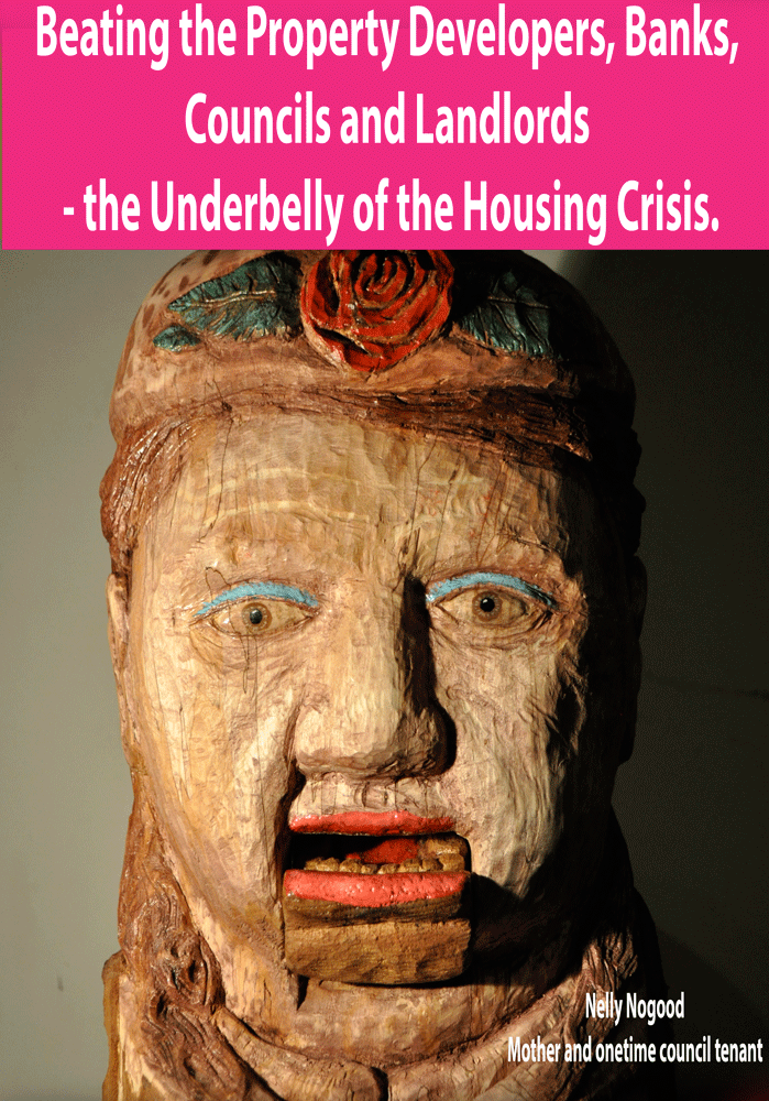 fe15-poster-nelly-nogoud